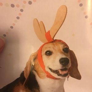 BARK Max’s Antlers 🐶🎄 Christmas Dog Accessory